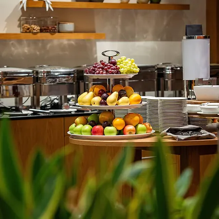 Hvd Grand Business & Leisure 酒店 苏尔