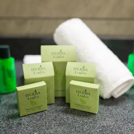 酒店 Hvd Grand Business & Leisure 苏尔