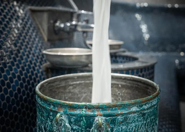 Hvd Grand Business & Leisure Szálloda