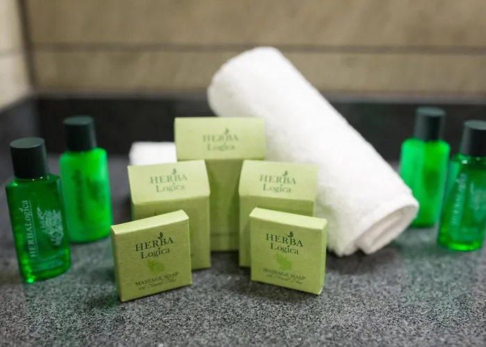 Hotel Hvd Grand Business & Leisure Suhl